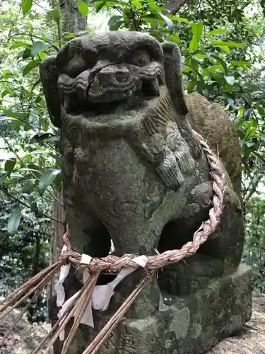 坂本八幡神社の狛犬