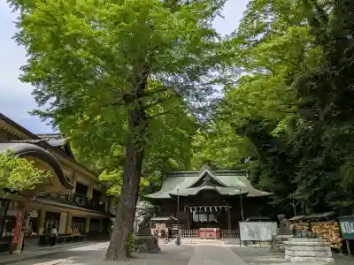 谷保天満宮の{uncategorized: "未分類", other: "その他", undefined: "問題あり", building: "その他建物", grave: "お墓", sacred_gate: "鳥居", guardian: "狛犬", statue: "像", buddha: "仏像", history: "歴史", nature: "自然", garden: "庭園", animal: "動物", pagoda: "塔", temizu: "手水舎", mountain_gate: "山門・神門", sanctuary: "本殿・本堂", subordinate: "末社・摂社", art: "芸術", scenery: "景色", jizo: "地蔵", ema: "絵馬", goshuin: "御朱印", omikuji: "おみくじ", items: "授与品その他", amulet: "お守り", goshuincho: "御朱印帳", eats: "食事", festival: "お祭り", votive_dance: "神楽", shichigosan: "七五三参", wedding: "結婚式", experience: "体験その他", initially: "初詣", around: "周辺", anti_infection: "感染症対策"}