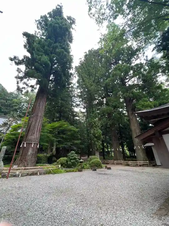 河口浅間神社(山梨県)