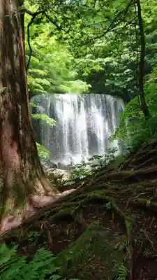 達沢不動滝の自然