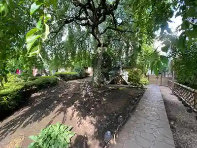 日蓮宗　浄運寺(東京都)