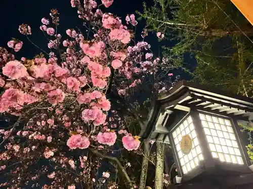 高幡不動尊　金剛寺の自然