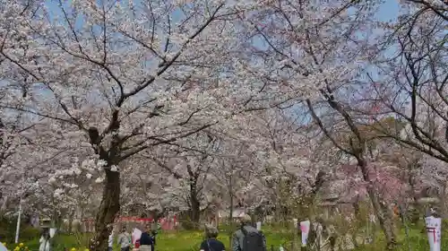 平野神社の庭園