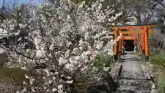 平野神社の建物その他