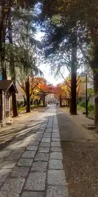 亀戸 香取神社(東京都)