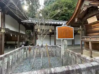 馬見岡綿向神社(滋賀県)