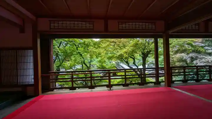 柳谷観音 楊谷寺(京都府)