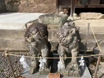 日尾八幡神社の狛犬