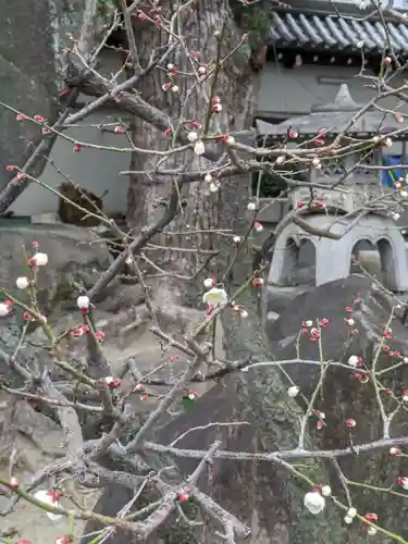 大阪天満宮(大阪府)