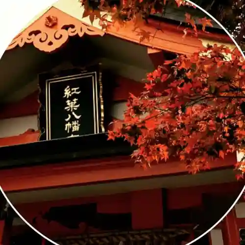 紅葉八幡宮の本殿・本堂