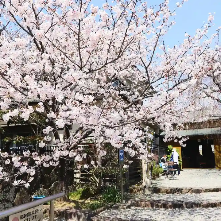 温泉山 安楽寺(四国霊場第六番札所)の自然