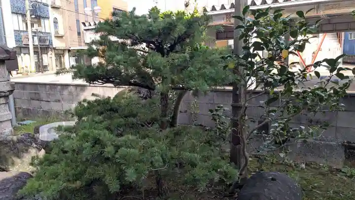 南町天満宮の自然