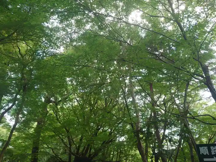 龍安寺(京都府)