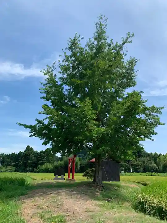 祖母神(千葉県)