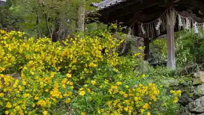 椎尾神社の自然