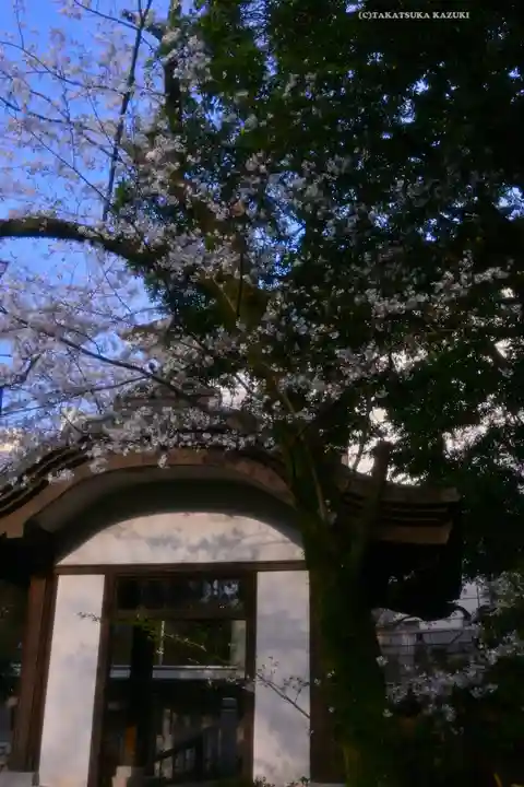 伊勢山皇大神宮(神奈川県)
