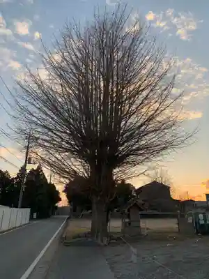 稲荷神社(千葉県)