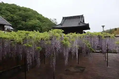 長泉寺の庭園