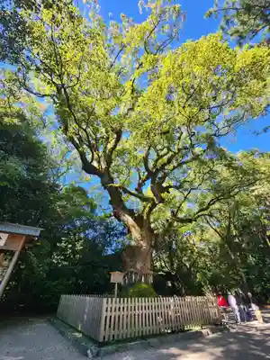 熱田神宮(愛知県)