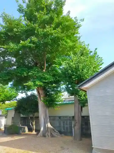 杵築神社(奈良県)
