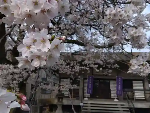 妙経寺(福井県)