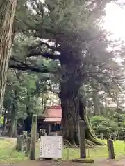 塩原八幡宮の自然