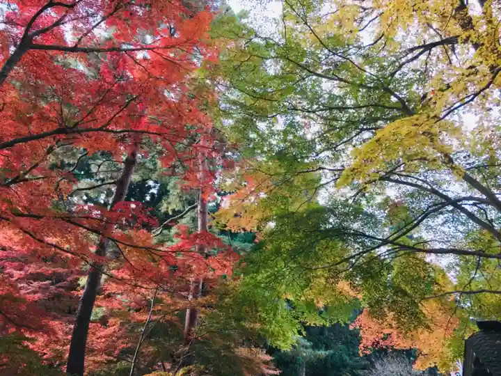 中尊寺本堂の自然
