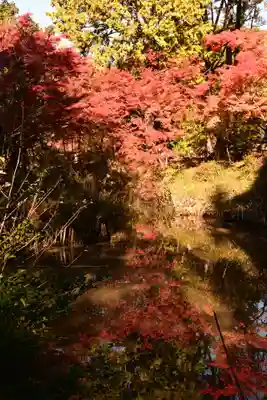 曼殊院門跡(京都府)