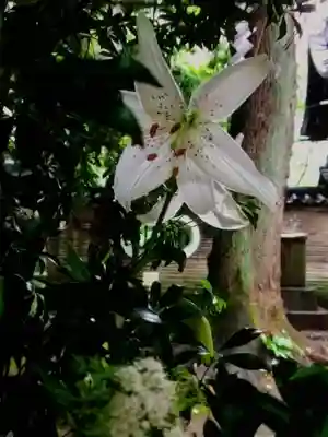 赤坂氷川神社(東京都)