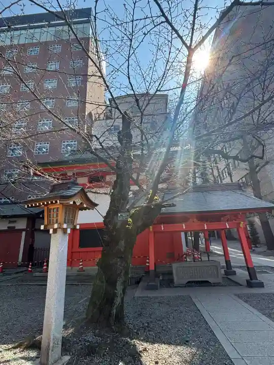 花園神社の{uncategorized: "未分類", other: "その他", undefined: "問題あり", building: "その他建物", grave: "お墓", sacred_gate: "鳥居", guardian: "狛犬", statue: "像", buddha: "仏像", history: "歴史", nature: "自然", garden: "庭園", animal: "動物", pagoda: "塔", temizu: "手水舎", mountain_gate: "山門・神門", sanctuary: "本殿・本堂", subordinate: "末社・摂社", art: "芸術", scenery: "景色", jizo: "地蔵", ema: "絵馬", goshuin: "御朱印", omikuji: "おみくじ", items: "授与品その他", amulet: "お守り", goshuincho: "御朱印帳", eats: "食事", festival: "お祭り", votive_dance: "神楽", shichigosan: "七五三参", wedding: "結婚式", experience: "体験その他", initially: "初詣", around: "周辺", anti_infection: "感染症対策"}