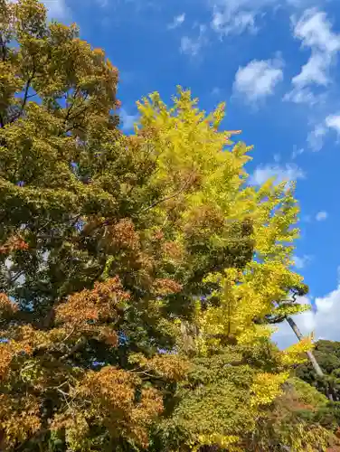  智積院(京都府)
