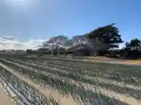 龍宮神社(千葉県)
