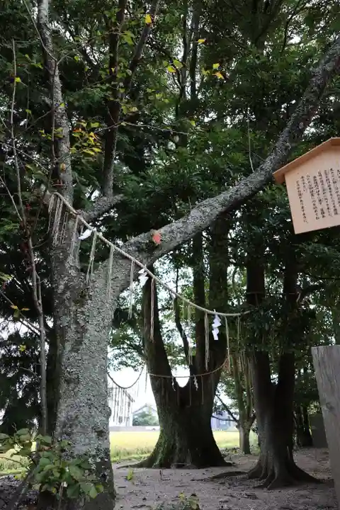 万九千社(島根県)