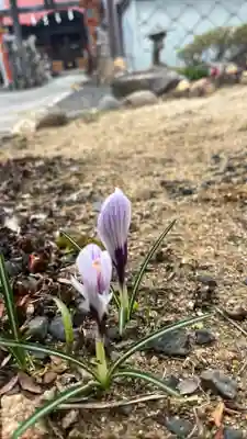大鏑神社(福島県)