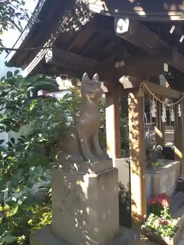 砧三峯神社の狛犬