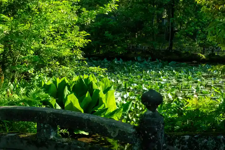 金澤神社(石川県)