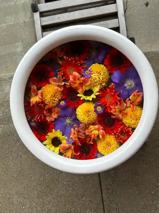 徳島眉山天神社(徳島県)