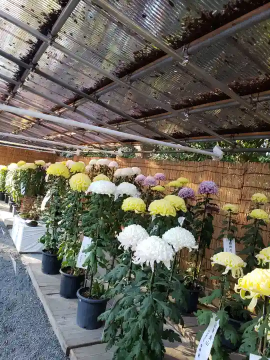 明治神宮の自然