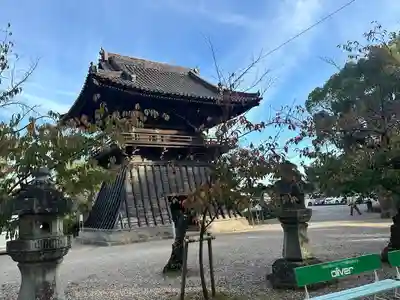 大樹寺（松安院大樹寺）(愛知県)