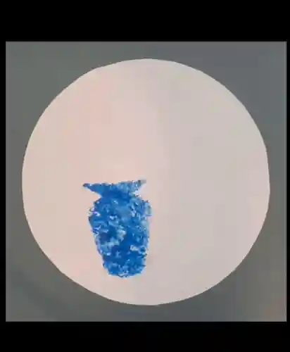 瀧宮神社(広島県)