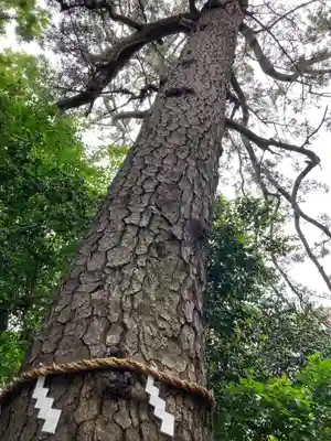 第六天神社の自然
