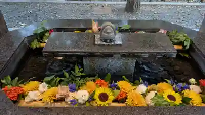 新琴似神社(北海道)
