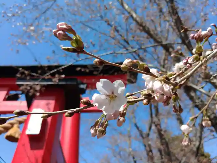 生島足島神社(長野県)