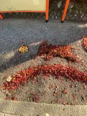出雲大神宮(京都府)