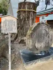 生田神社の自然