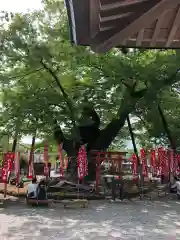 秩父今宮神社の自然