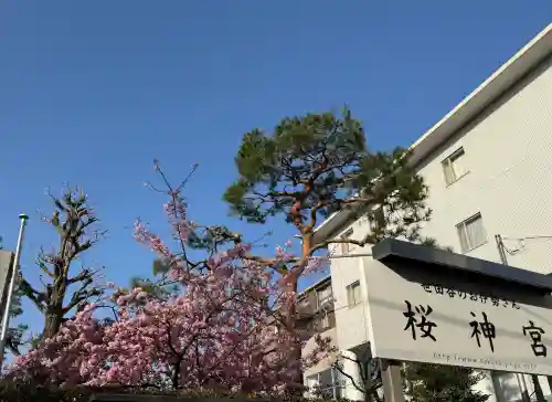 桜神宮の{uncategorized: "未分類", other: "その他", undefined: "問題あり", building: "その他建物", grave: "お墓", sacred_gate: "鳥居", guardian: "狛犬", statue: "像", buddha: "仏像", history: "歴史", nature: "自然", garden: "庭園", animal: "動物", pagoda: "塔", temizu: "手水舎", mountain_gate: "山門・神門", sanctuary: "本殿・本堂", subordinate: "末社・摂社", art: "芸術", scenery: "景色", jizo: "地蔵", ema: "絵馬", goshuin: "御朱印", omikuji: "おみくじ", items: "授与品その他", amulet: "お守り", goshuincho: "御朱印帳", eats: "食事", festival: "お祭り", votive_dance: "神楽", shichigosan: "七五三参", wedding: "結婚式", experience: "体験その他", initially: "初詣", around: "周辺", anti_infection: "感染症対策"}