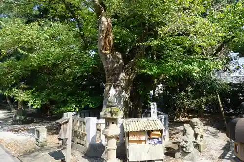 賣布神社のその他建物