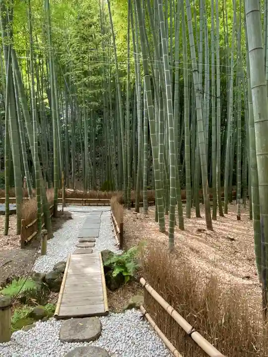 報国寺のその他建物