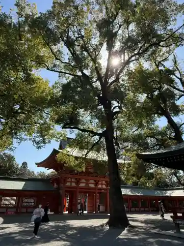 武蔵一宮氷川神社の{uncategorized: "未分類", other: "その他", undefined: "問題あり", building: "その他建物", grave: "お墓", sacred_gate: "鳥居", guardian: "狛犬", statue: "像", buddha: "仏像", history: "歴史", nature: "自然", garden: "庭園", animal: "動物", pagoda: "塔", temizu: "手水舎", mountain_gate: "山門・神門", sanctuary: "本殿・本堂", subordinate: "末社・摂社", art: "芸術", scenery: "景色", jizo: "地蔵", ema: "絵馬", goshuin: "御朱印", omikuji: "おみくじ", items: "授与品その他", amulet: "お守り", goshuincho: "御朱印帳", eats: "食事", festival: "お祭り", votive_dance: "神楽", shichigosan: "七五三参", wedding: "結婚式", experience: "体験その他", initially: "初詣", around: "周辺", anti_infection: "感染症対策"}